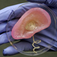 Image for article titled A 3D printed cybernetic ear that even a transhumanist would love